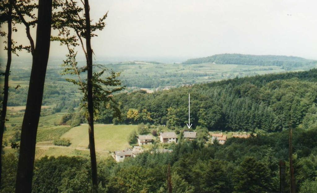 Ferienwohnung Unterschuetz Ettenheim Exteriör bild